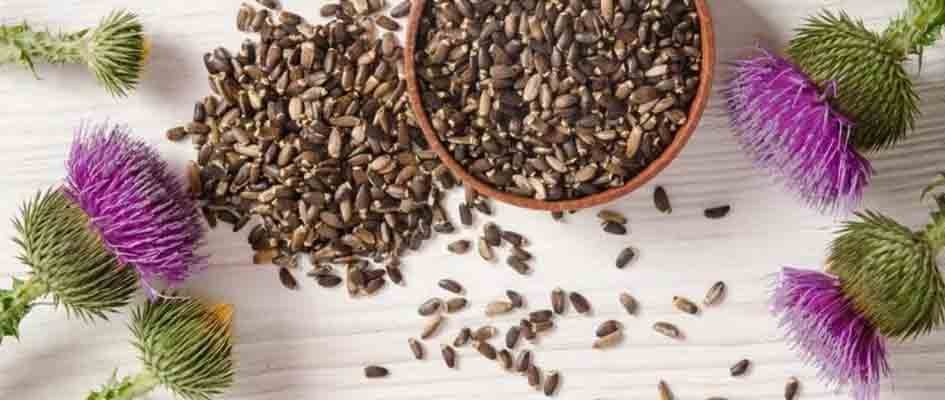 DETOX DESPUES DEL VERANO